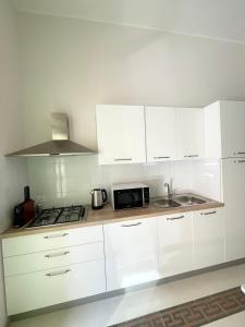 奇尼斯Conte125的白色的厨房配有水槽和微波炉
