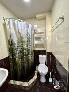 第比利斯Hotel Marioni的一间带卫生间和淋浴帘的浴室
