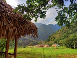 Hương Bá ThướcPu Luong Homestay & Tours的享有山脉背景的田野景色