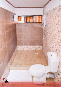 阿西里弗Galaxy Resort Kitengela的一间带卫生间和淋浴的小浴室