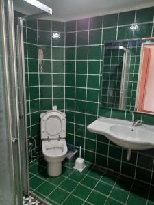阿达纳Aksoy Otel的绿色瓷砖浴室设有卫生间和水槽