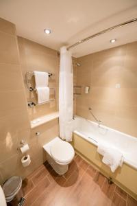 纽波特假日新港酒店的一间带卫生间和浴缸的浴室