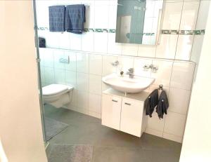 因特拉肯Interlaken Best View Deluxe Apartment的一间带水槽和卫生间的浴室