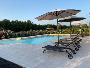 阿尔盖罗Maris Suite - Appartamento con vasca idromassaggio的游泳池旁的两把带遮阳伞的躺椅