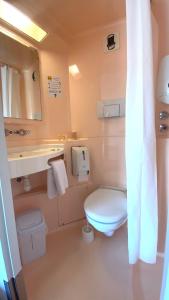 坎佩尔坎佩尔普瑞米尔经典酒店的一间带卫生间、水槽和镜子的浴室