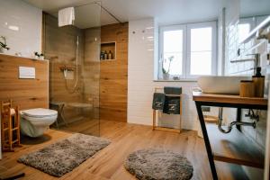 奥西耶克Apartman Saturn的浴室配有卫生间、淋浴和盥洗盆。