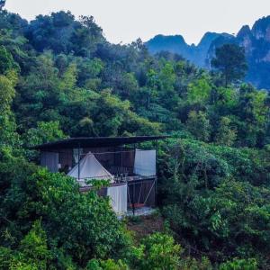 考索Tanoshi Glamping In Khao Sok的绿色森林中间的一座建筑