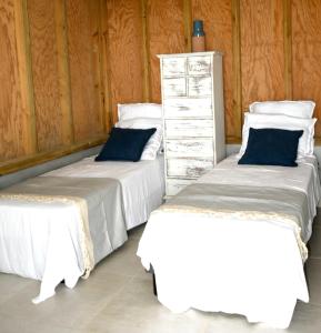 Case-PiloteLes Hauteurs de Citronnelles的两张睡床彼此相邻,位于一个房间里