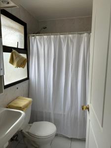 圣地亚哥Depto LAS CONDES-EST ESPAÑOL的浴室配有白色的浴帘和卫生间
