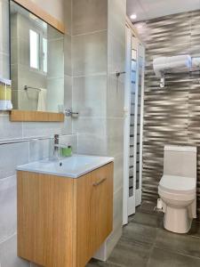 圣多明各Cozy City Center Condo Full AC的一间带水槽和卫生间的浴室