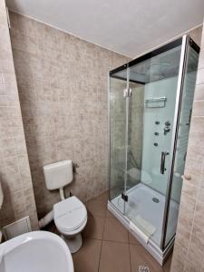 FăgetHanul Lui Bogdan Economy INN的一间带卫生间和玻璃淋浴间的浴室