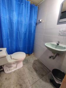 伊瓦拉Hotel Altamira Suites - Ibarra的一间带卫生间和水槽的浴室