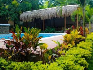 圣玛尔塔Hostal Los Arhuacos的一个带游泳池和一些植物的度假胜地