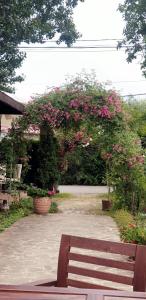 Urlaţi丘陵酒店的花园前的木凳,花粉红色