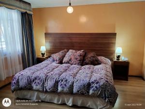 维纳德马Aquamarina Apart Hotel的一间卧室配有一张大床和木制床头板