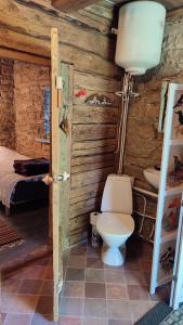 MyustelʼViini puhkemaja的小木屋内带卫生间的浴室
