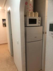 托雷维耶哈Torresal的厨房配有冰箱上方的微波炉
