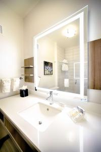 圣巴巴拉圣巴巴拉/戈利塔 - 希尔顿花园酒店的一间带水槽和大镜子的浴室