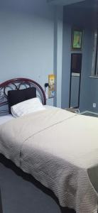 里约热内卢Lapa Bed and breakfast Apartamento Rio de Janeiro的一间卧室配有一张带白色毯子的大床