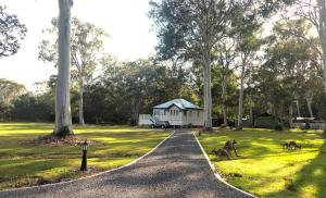 佩里吉安比奇Lake Weyba Noosa Lodge & Kangaroos的一条通往白色房子的道路,在草地上有两个狗