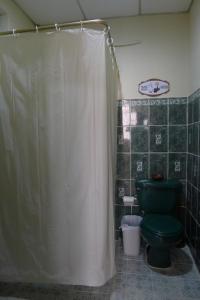 马塔加尔帕Matagalpa Tours Guest House的一间带绿色卫生间和淋浴的浴室