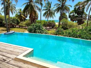 帕西库达Vandalous Bay的享有大海和棕榈树景致的游泳池