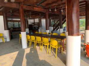 和平Hồ Tằm Homestay的一间设有黄色椅子的餐厅和一间酒吧