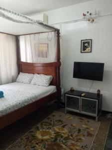 蒙巴萨Paradise Apartment的一间卧室配有一张床和一台平面电视