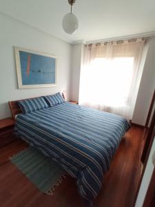 奥维多Apartment with parking "Hola Oviedo"的一间卧室配有一张带蓝色条纹棉被的床和窗户。