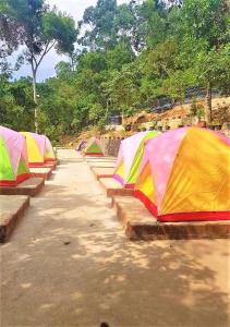 埃拉Ella Camping Resort的停在田野里的一排色彩缤纷的帐篷