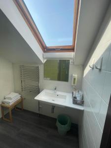 马里扬泊列Akmenine Kerpe的一间带水槽和天窗的浴室