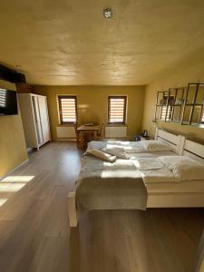 马里扬泊列Akmenine Kerpe的一间卧室设有一张大床,铺有木地板
