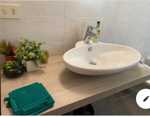 赫拉弗多纳Suite Lago blu的浴室设有白色水槽和一些植物