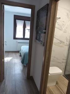 阿尔苏阿Apartamentos Luis的一间带卫生间和镜子的浴室