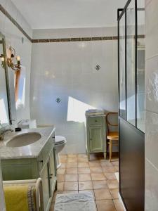 沙特奈马拉布里克洛斯王子住宿加早餐旅馆的一间带水槽、卫生间和淋浴的浴室
