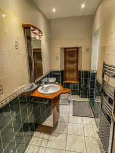 因弗内斯Cathedral Apartment的一间带水槽和卫生间的浴室