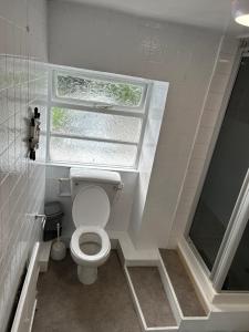 LlangristiolusHolland arms hotel的一间带卫生间和窗户的小浴室