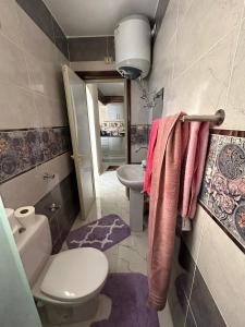 赫尔格达Apartment Hossam 1的一间带卫生间和水槽的浴室