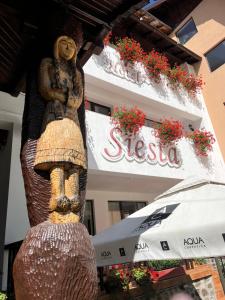 CumpănaHotel-Restaurant Siesta Balea的坐在建筑物一侧的女人的雕像