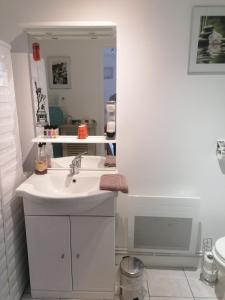 勒芒Le Petit Chalet -Appartement proche de la vieille ville , du centre ville et du Tram- PETIT DEJEUNER OFFERT的白色的浴室设有水槽和镜子