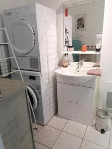 勒芒Le Petit Chalet -Appartement proche de la vieille ville , du centre ville et du Tram- PETIT DEJEUNER OFFERT的一间带水槽和洗衣机的浴室