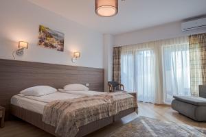 百乐·奥拉内斯蒂Hotel Cascada BAILE OLANESTI的一间卧室设有一张大床和一个大窗户