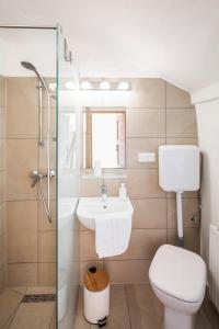 梅尔克Ferienwohnung Alter Brotladen的浴室配有卫生间、盥洗盆和淋浴。