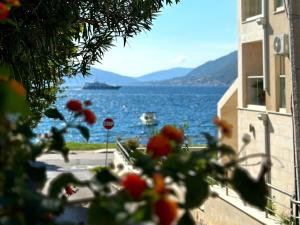 蒂瓦特Caruso apartment的从建筑物里看到水体