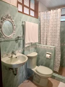 圣维森特Greenviews Resort & Restaurant Port Barton的一间带卫生间、水槽和镜子的浴室