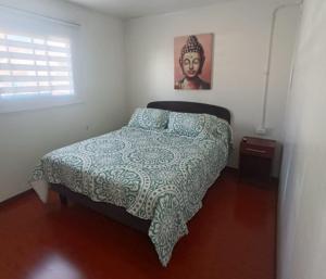 安托法加斯塔Hospedaje Nuevo Amanecer的一间卧室配有一张带绿色和白色毯子的床