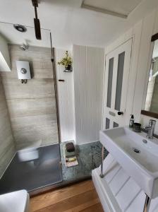 拉伊Aviemore Rye的一间带水槽和淋浴的浴室