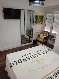 洛格罗尼奥Gran Reserva Suites centro alojamiento entero的客房设有床、电视和镜子