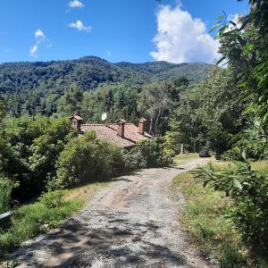 Andorno MiccaCascinaMirta的通往山上房屋的土路