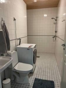 科科拉Saunallinen kaksio keskustassa的一间带卫生间和水槽的浴室
